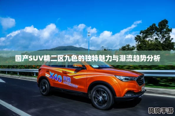 国产SUV精二区九色的独特魅力与潮流趋势分析