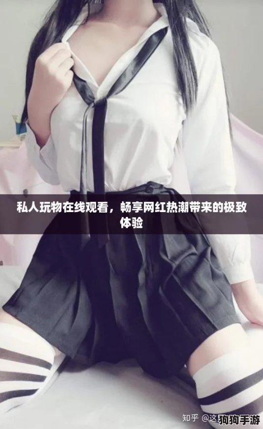 私人玩物在线观看,畅享网红热潮带来的极致体验 私人玩物在线观看,畅享网红热潮带来的极致体验