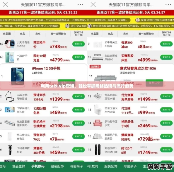 利用tai9.vip查询，轻松掌握网络热词与流行趋势