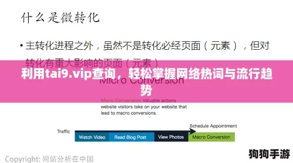利用tai9.vip查询,轻松掌握网络热词与流行趋势 利用tai9.vip查询,轻松掌握网络热词与流行趋势