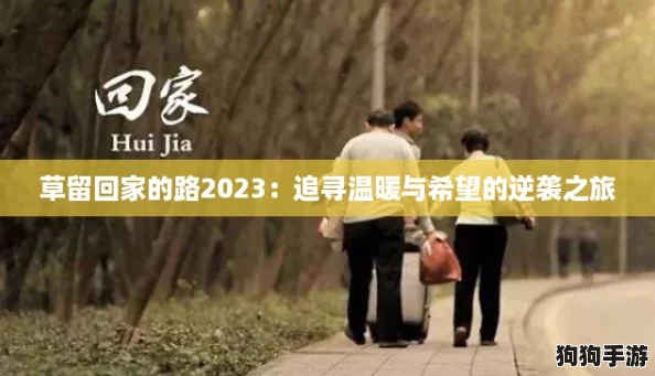 草留回家的路2023：追寻温暖与希望的逆袭之旅