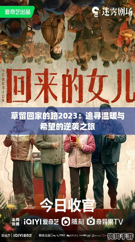 草留回家的路2023:追寻温暖与希望的逆袭之旅 草留回家的路2023:追寻温暖与希望的逆袭之旅