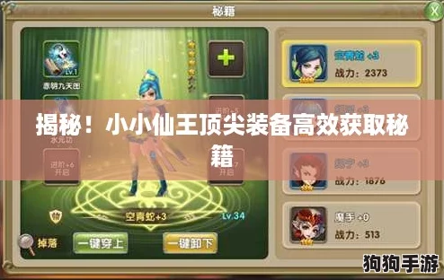 揭秘！小小仙王顶尖装备高效获取秘籍