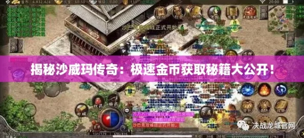 揭秘沙威玛传奇：极速金币获取秘籍大公开！