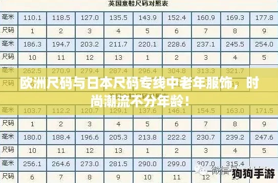 欧洲尺码与日本尺码专线中老年服饰，时尚潮流不分年龄！