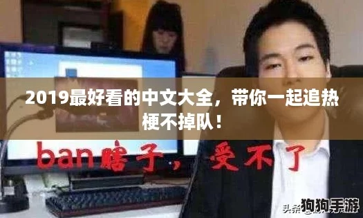 2019最好看的中文大全，带你一起追热梗不掉队！