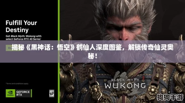 揭秘《黑神话：悟空》鹤仙人深度图鉴，解锁传奇仙灵奥秘！