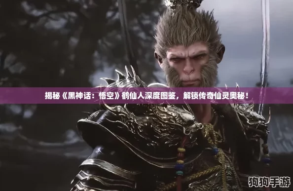 揭秘《黑神话:悟空》鹤仙人深度图鉴,解锁传奇仙灵奥秘! 揭秘《黑神话:悟空》鹤仙人深度图鉴,解锁传奇仙灵奥秘!