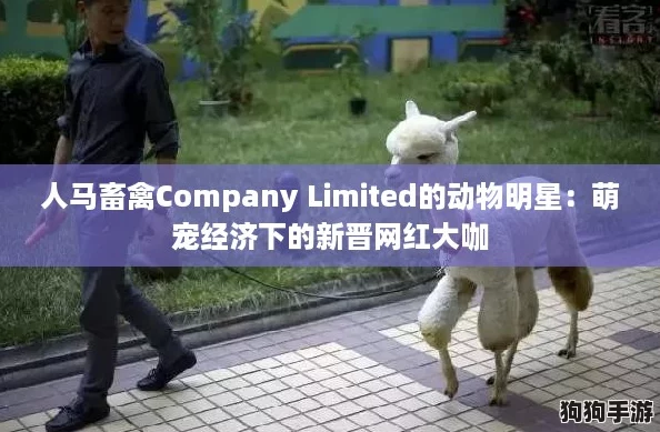 人马畜禽Company Limited的动物明星：萌宠经济下的新晋网红大咖