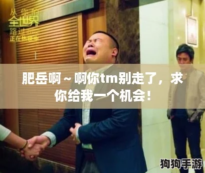 肥岳啊～啊你tm别走了，求你给我一个机会！