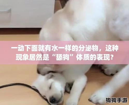 一动下面就有水一样的分泌物，这种现象居然是“舔狗”体质的表现？