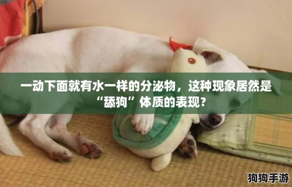 一动下面就有水一样的分泌物,这种现象居然是“舔狗”体质的表现? 一动下面就有水一样的分泌物,这种现象居然是“舔狗”体质的表现?