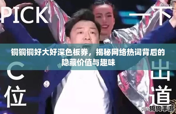铜铜铜好大好深色板券，揭秘网络热词背后的隐藏价值与趣味