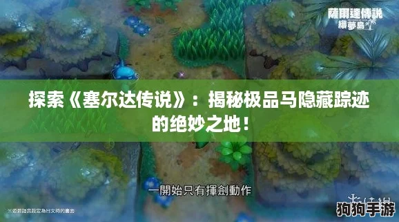 探索《塞尔达传说》：揭秘极品马隐藏踪迹的绝妙之地！