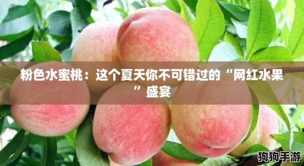 粉色水蜜桃：这个夏天你不可错过的“网红水果”盛宴