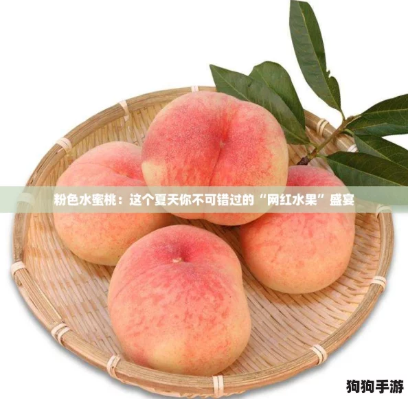 粉色水蜜桃:这个夏天你不可错过的“网红水果”盛宴 粉色水蜜桃:这个夏天你不可错过的“网红水果”盛宴