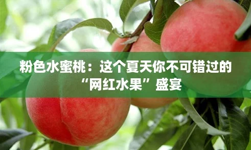 粉色水蜜桃:这个夏天你不可错过的“网红水果”盛宴 粉色水蜜桃:这个夏天你不可错过的“网红水果”盛宴
