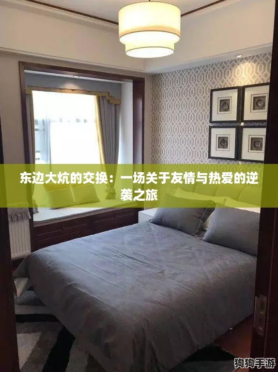 东边大炕的交换：一场关于友情与热爱的逆袭之旅