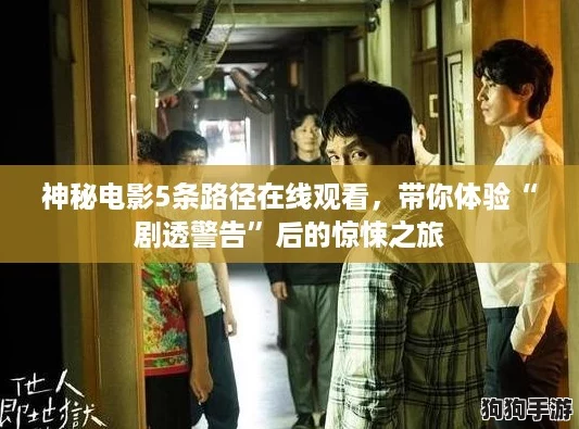 神秘电影5条路径在线观看，带你体验“剧透警告”后的惊悚之旅