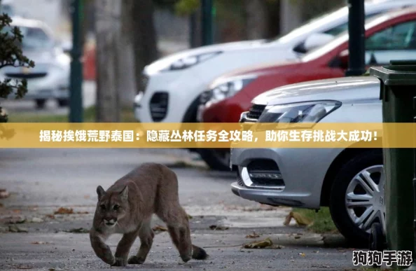 揭秘挨饿荒野泰国:隐藏丛林任务全攻略,助你生存挑战大成功! 揭秘挨饿荒野泰国:隐藏丛林任务全攻略,助你生存挑战大成功!