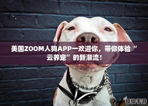 美国ZOOM人狗APP一欢迎你，带你体验“云养宠”的新潮流！