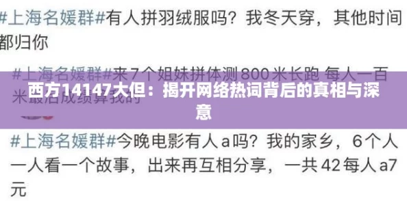 西方14147大但：揭开网络热词背后的真相与深意