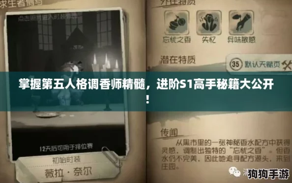 掌握第五人格调香师精髓,进阶S1高手秘籍大公开! 掌握第五人格调香师精髓,进阶S1高手秘籍大公开!