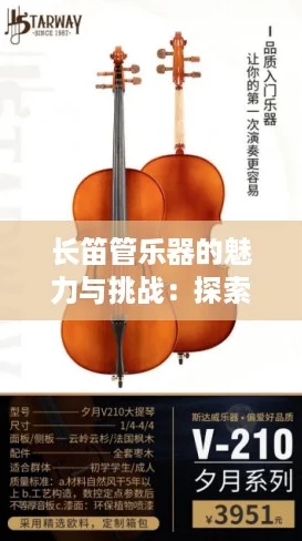 长笛管乐器的魅力与挑战：探索音乐圈的新晋热词“音浪”