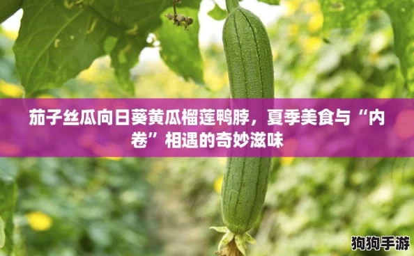 茄子丝瓜向日葵黄瓜榴莲鸭脖，夏季美食与“内卷”相遇的奇妙滋味