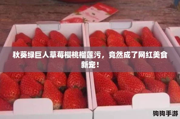 秋葵绿巨人草莓樱桃榴莲污,竟然成了网红美食新宠! 秋葵绿巨人草莓樱桃榴莲污,竟然成了网红美食新宠!