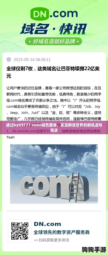 通过by59777·coon域名查询，发现网络世界的新机遇与挑战