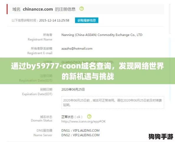 通过by59777·coon域名查询,发现网络世界的新机遇与挑战 通过by59777·coon域名查询,发现网络世界的新机遇与挑战