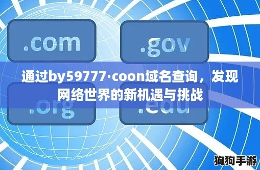 通过by59777·coon域名查询,发现网络世界的新机遇与挑战 通过by59777·coon域名查询,发现网络世界的新机遇与挑战