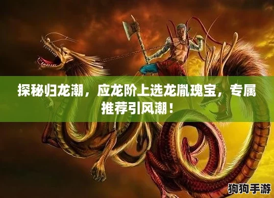 探秘归龙潮，应龙阶上选龙胤瑰宝，专属推荐引风潮！