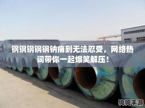 钢钢钢钢钢钠痛到无法忍受，网络热词带你一起爆笑解压！