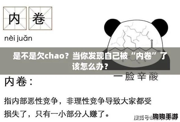 是不是欠chao？当你发现自己被“内卷”了该怎么办？
