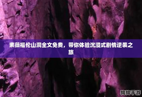 紫薇福伦山洞全文免费，带你体验沉浸式剧情逆袭之旅