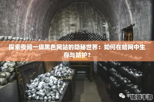 探索夜间一级黑色网站的隐秘世界：如何在暗网中生存与防护？