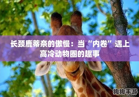 长颈鹿蒂奈的傲慢：当“内卷”遇上高冷动物圈的趣事