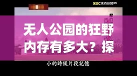 无人公园的狂野内存有多大？探秘这一网络热词背后的神秘空间！