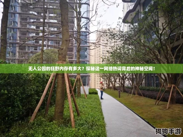 无人公园的狂野内存有多大?探秘这一网络热词背后的神秘空间! 无人公园的狂野内存有多大?探秘这一网络热词背后的神秘空间!