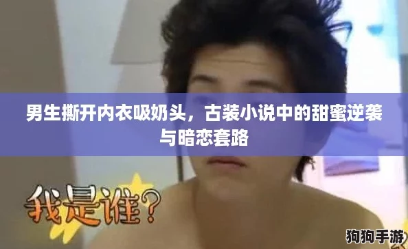 男生撕开内衣吸奶头，古装小说中的甜蜜逆袭与暗恋套路