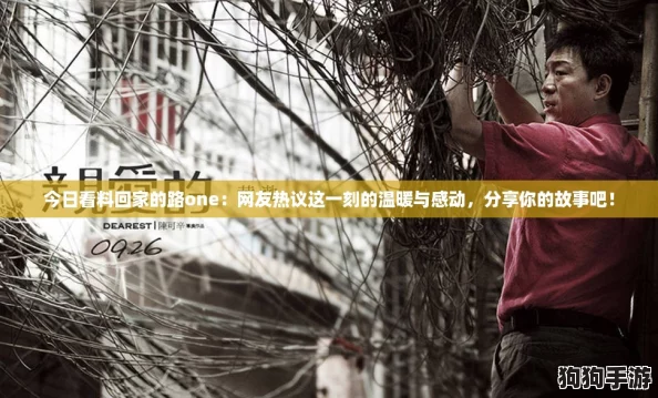 今日看料回家的路one:网友热议这一刻的温暖与感动,分享你的故事吧! 今日看料回家的路one:网友热议这一刻的温暖与感动,分享你的故事吧!