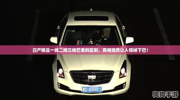 日产精品一线二线三线芒果的区别,真相竟然让人惊掉下巴! 日产精品一线二线三线芒果的区别,真相竟然让人惊掉下巴!