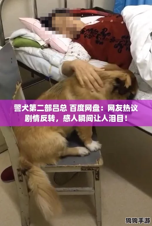 警犬第二部吕总 百度网盘：网友热议剧情反转，感人瞬间让人泪目！