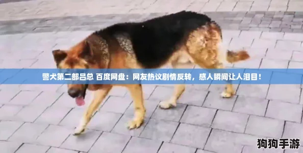 警犬第二部吕总 百度网盘:网友热议剧情反转,感人瞬间让人泪目! 警犬第二部吕总 百度网盘:网友热议剧情反转,感人瞬间让人泪目!