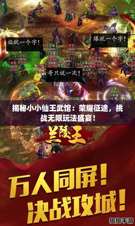 揭秘小小仙王武馆：荣耀征途，挑战无限玩法盛宴！