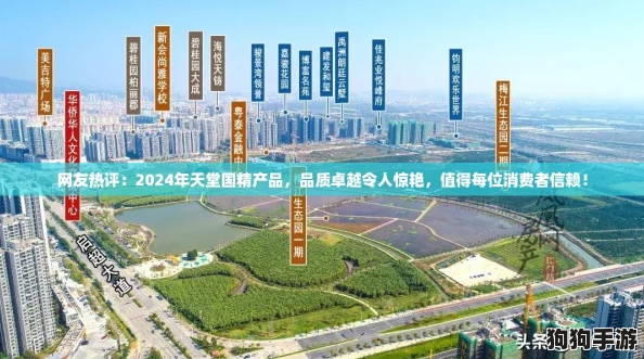 网友热评：2024年天堂国精产品，品质卓越令人惊艳，值得每位消费者信赖！