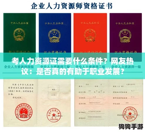 考人力资源证需要什么条件？网友热议：是否真的有助于职业发展？