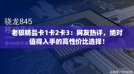 老狼精品卡1卡2卡3：网友热评，绝对值得入手的高性价比选择！